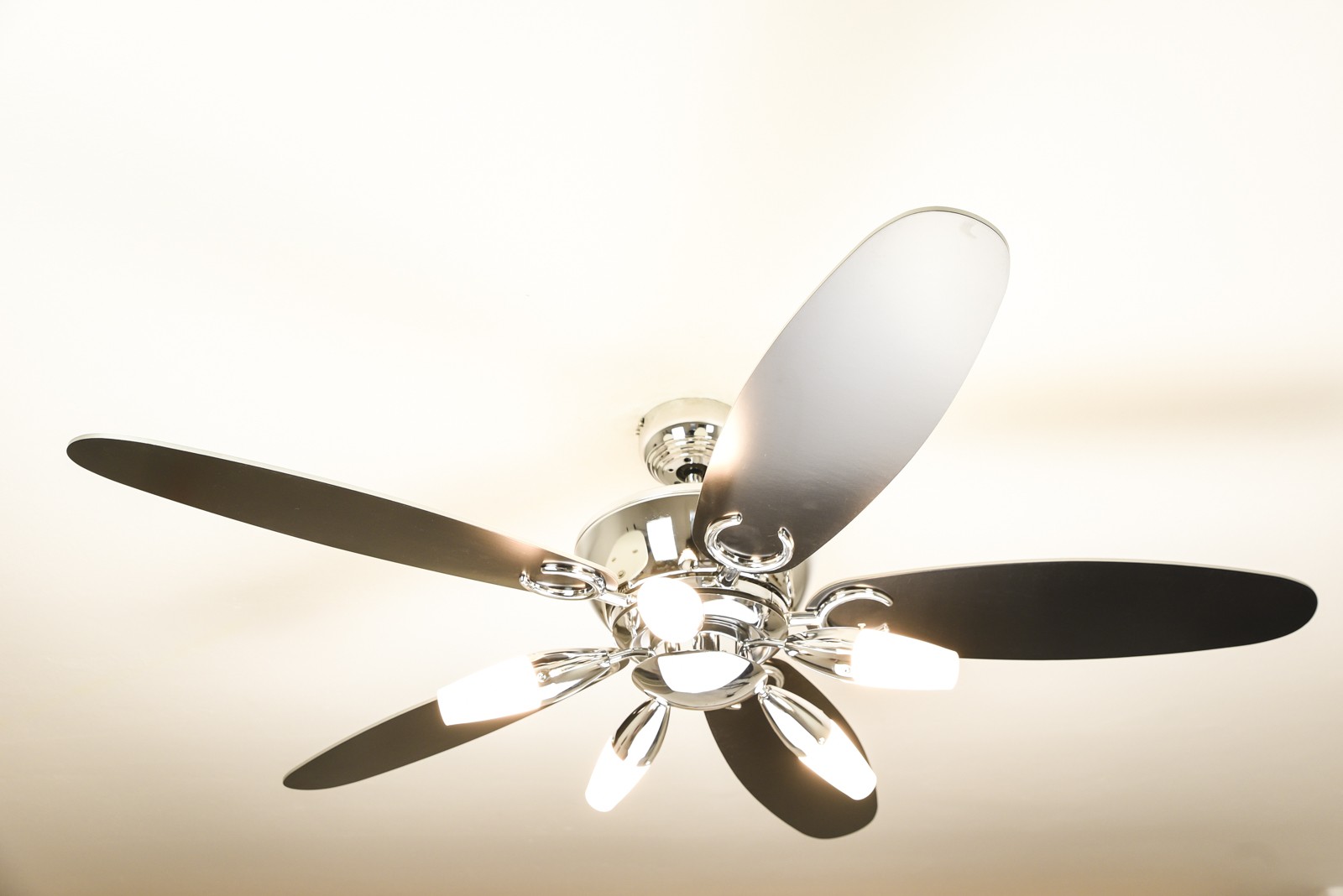 Westinghouse ceiling fan ARIUS 132 cm / 52" with remote control Ceiling
