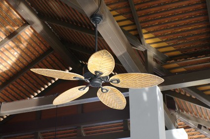 Outdoor ceiling fan