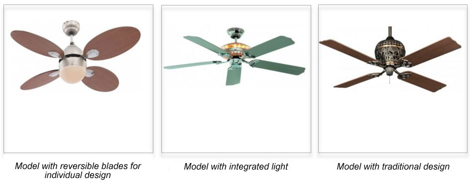 Guide to ceiling fans: A story of success